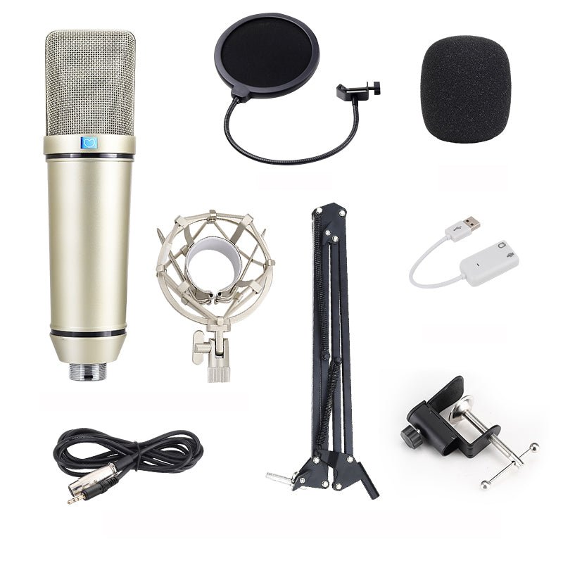 Large diaphragm studio professional equipment studio condenser microphone with USB sound card computer Kit | Electrr Inc