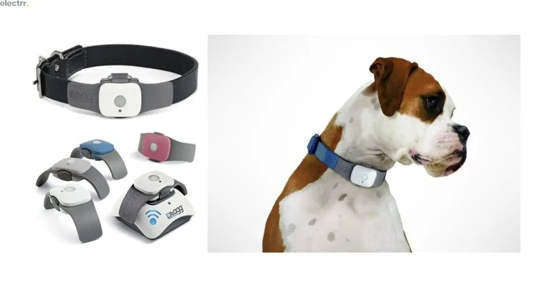 Pet Wearable Market Size (US$ 3.8 Billion), Industry Trends, Growth (CAGR of 14.07%), Key Players and Report 2022-2027 Electrr Inc