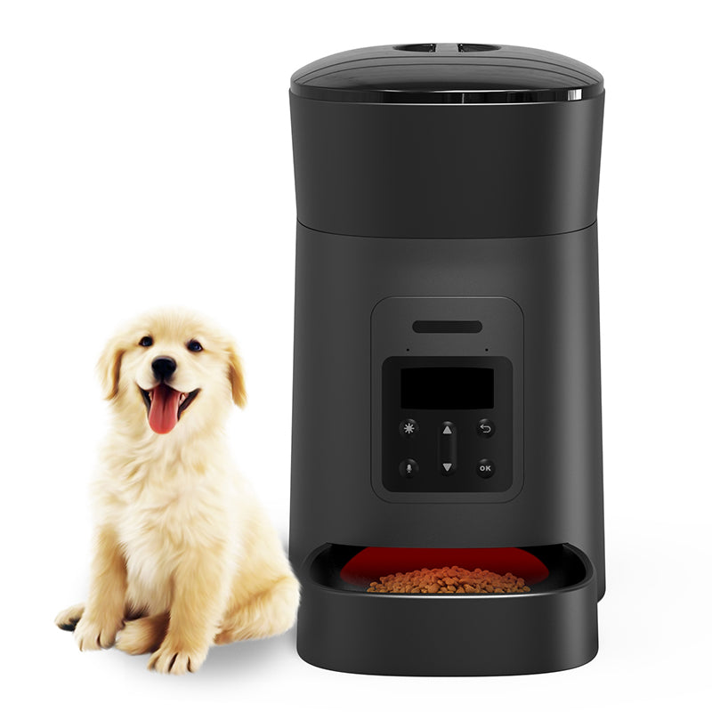 automatic food dispenser luxury smart auto bottle bowl pet feeder pet bowls feeders automatic | Electrr Inc