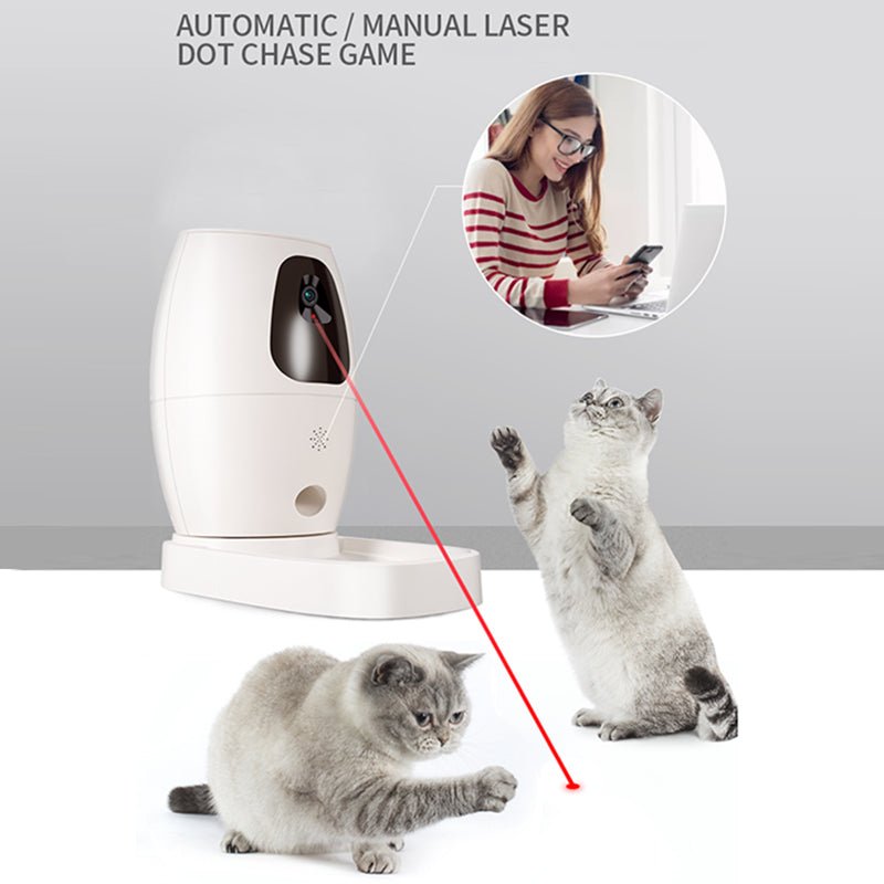 Wholesale wifi smart cat bowl dish dog feeder automatic pet food dispenser with camera | Electrr Inc