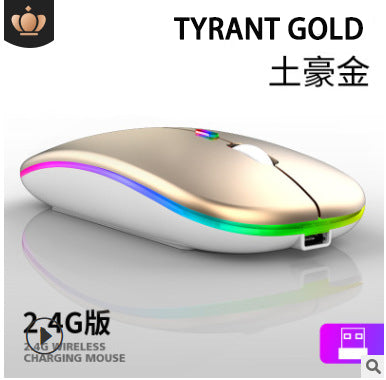 Colorful luminescent mute RGB USB Rechargeable charging mouse 2.4G wireless Computer phone gaming mouse | Electrr Inc