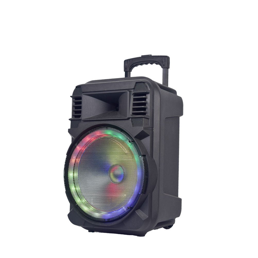 AILIPU 1000w powered single 12 inch subwoofer sound system professional audio speaker equipment | Electrr Inc