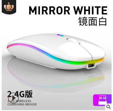 Colorful luminescent mute RGB USB Rechargeable charging mouse 2.4G wireless Computer phone gaming mouse | Electrr Inc